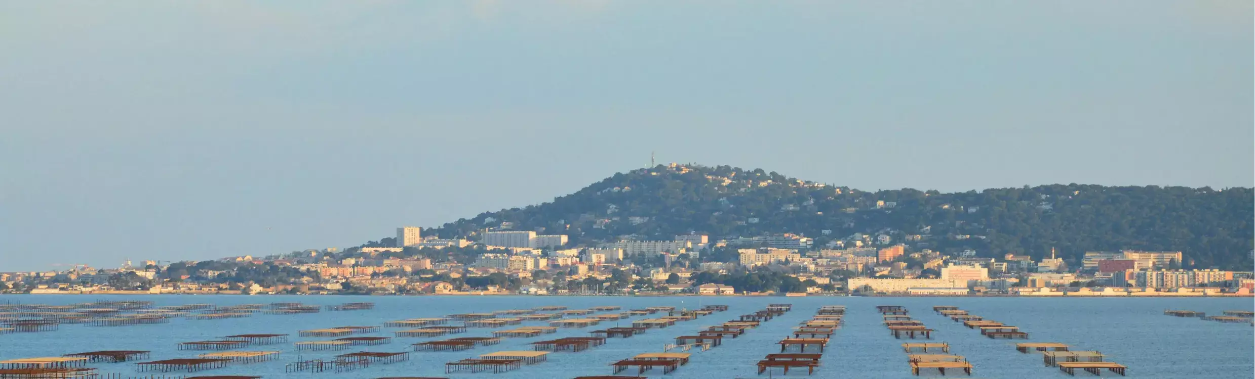<p align ="center"><h2><b>Une entreprise familiale ancrée dans le territoire</h2></b>